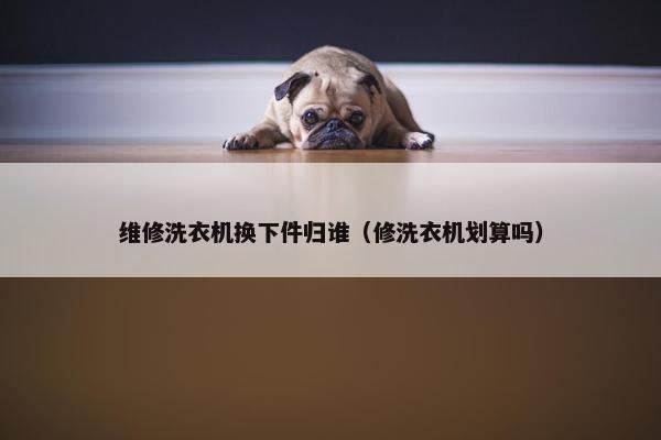 维修洗衣机换下件归谁（修洗衣机划算吗）