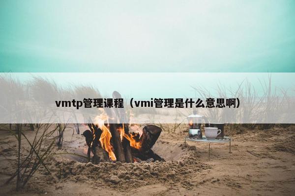 vmtp管理课程（vmi管理是什么意思啊）