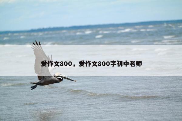 爱作文800，爱作文800字初中老师