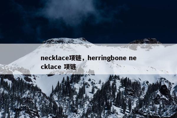 necklace项链，herringbone necklace 项链