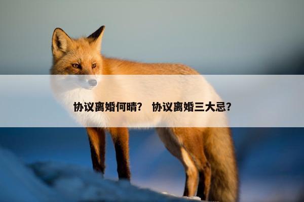 协议离婚何晴？ 协议离婚三大忌？