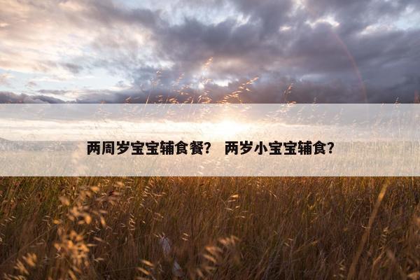 两周岁宝宝辅食餐？ 两岁小宝宝辅食？