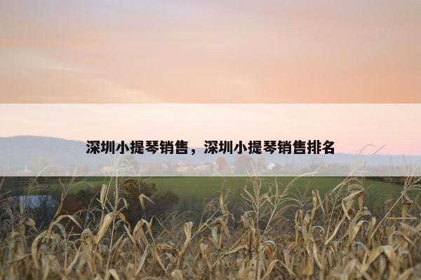 深圳小提琴销售，深圳小提琴销售排名