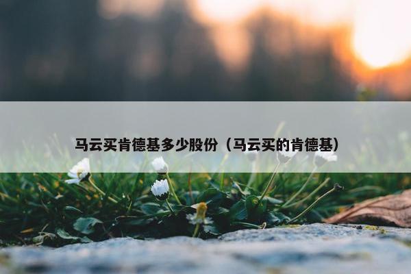 马云买肯德基多少股份（马云买的肯德基）