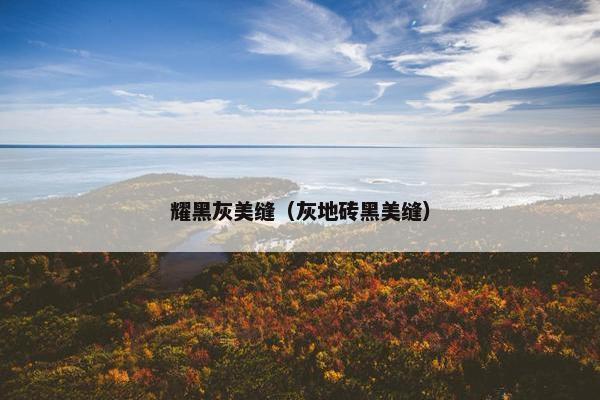耀黑灰美缝（灰地砖黑美缝）