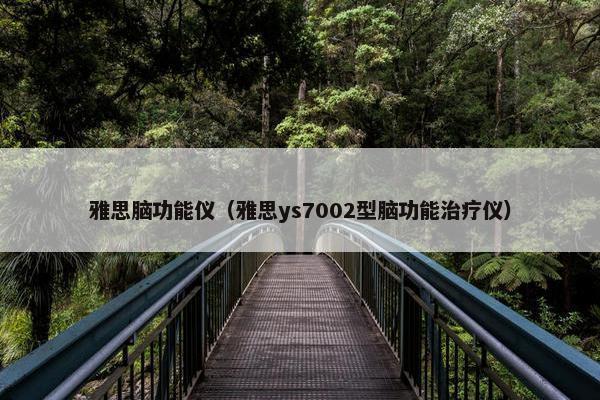 雅思脑功能仪（雅思ys7002型脑功能治疗仪）