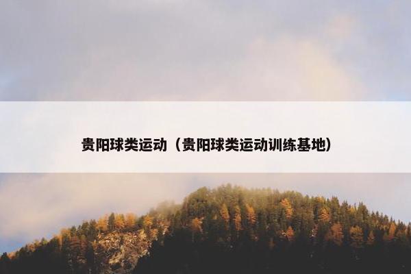 贵阳球类运动（贵阳球类运动训练基地）