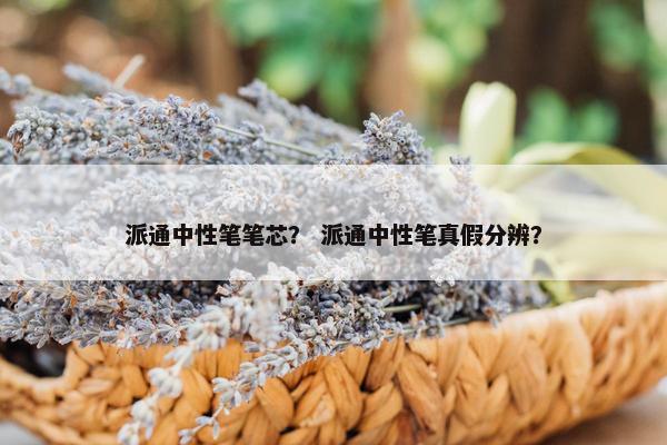 派通中性笔笔芯？ 派通中性笔真假分辨？