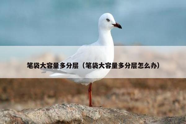 笔袋大容量多分层（笔袋大容量多分层怎么办）