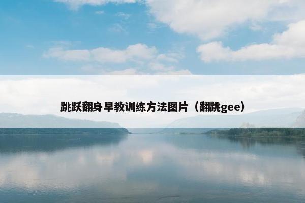 跳跃翻身早教训练方法图片（翻跳gee）