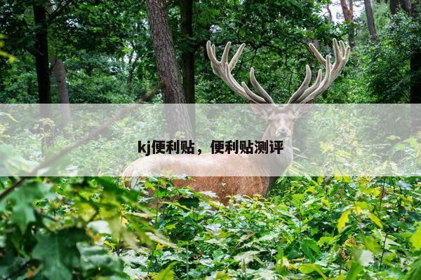 kj便利贴，便利贴测评