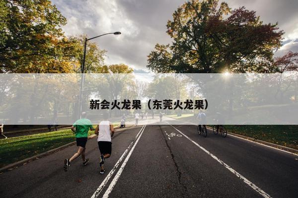 新会火龙果（东莞火龙果）