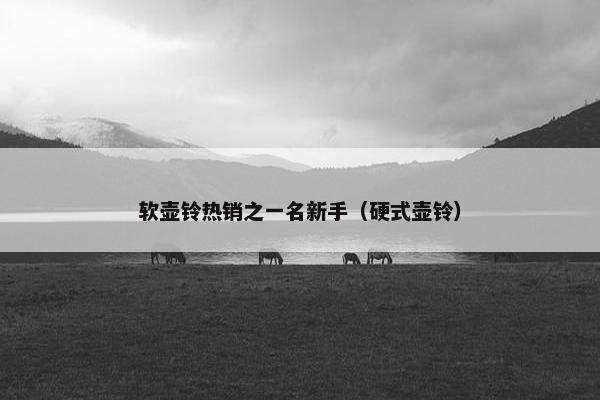 软壶铃热销之一名新手（硬式壶铃）