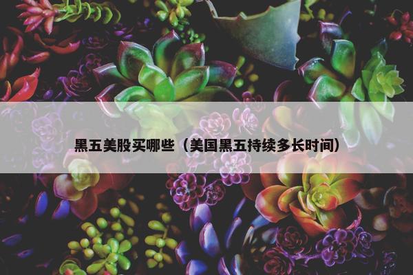 黑五美股买哪些（美国黑五持续多长时间）