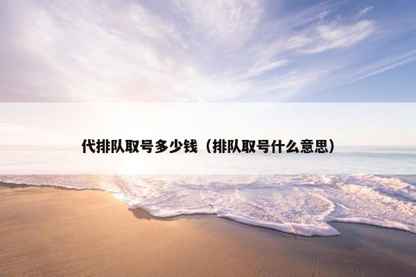 代排队取号多少钱（排队取号什么意思）