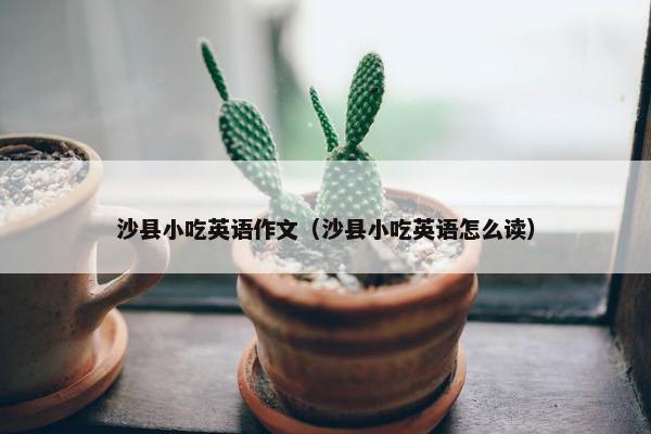 沙县小吃英语作文（沙县小吃英语怎么读）