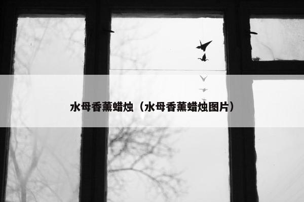 水母香薰蜡烛（水母香薰蜡烛图片）