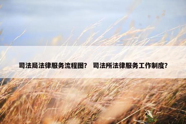 司法局法律服务流程图？ 司法所法律服务工作制度？