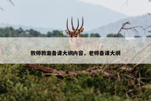教师教案备课大纲内容，老师备课大纲