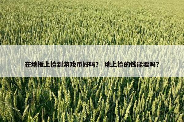 在地板上捡到游戏币好吗？ 地上捡的钱能要吗？
