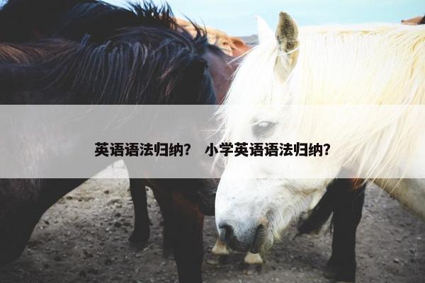 英语语法归纳？ 小学英语语法归纳？