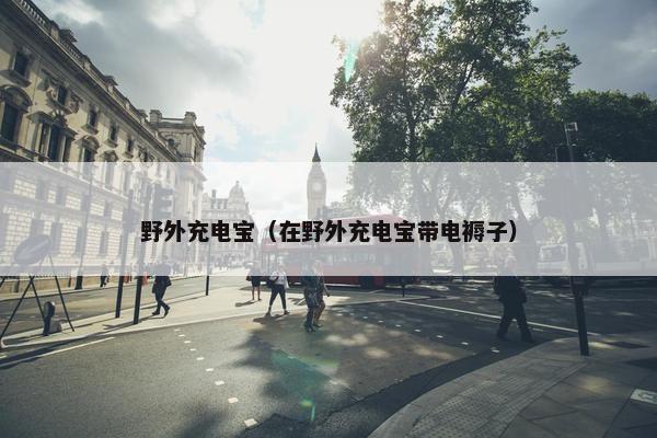 野外充电宝（在野外充电宝带电褥子）