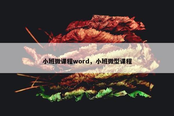 小班微课程word，小班微型课程