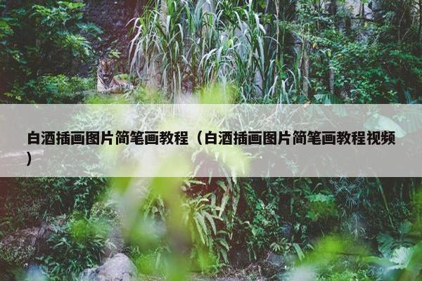 白酒插画图片简笔画教程（白酒插画图片简笔画教程视频）