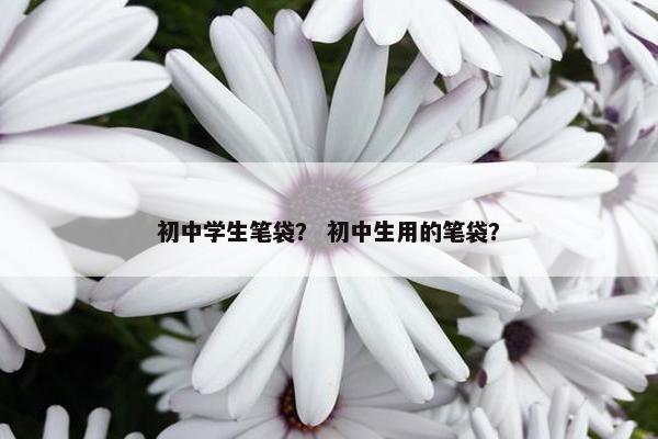 初中学生笔袋？ 初中生用的笔袋？