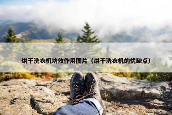 烘干洗衣机功效作用图片（烘干洗衣机的优缺点）