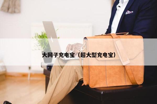 大网子充电宝（超大型充电宝）