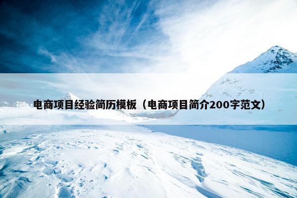 电商项目经验简历模板（电商项目简介200字范文）