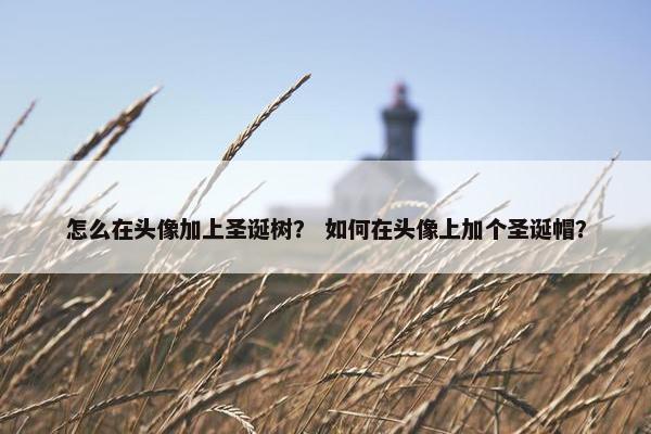 怎么在头像加上圣诞树？ 如何在头像上加个圣诞帽？