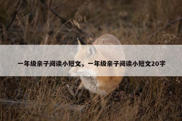 一年级亲子阅读小短文，一年级亲子阅读小短文20字