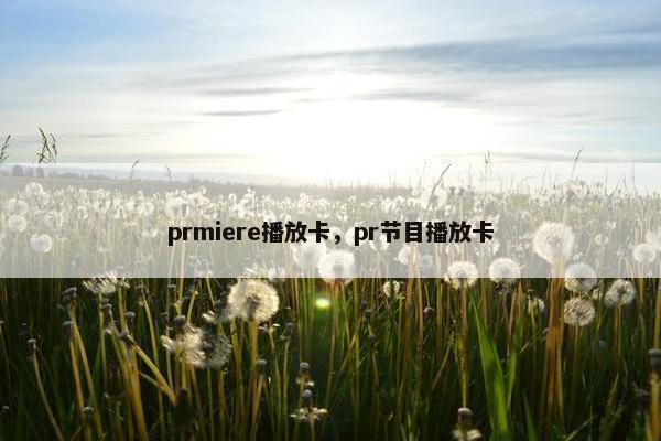 prmiere播放卡，pr节目播放卡