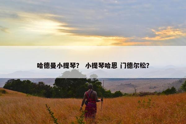 哈德曼小提琴？ 小提琴哈恩 门德尔松？