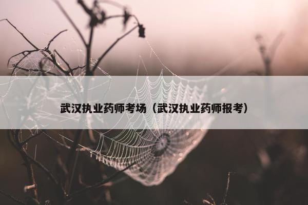 武汉执业药师考场（武汉执业药师报考）
