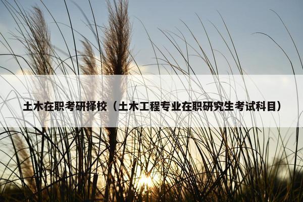 土木在职考研择校（土木工程专业在职研究生考试科目）