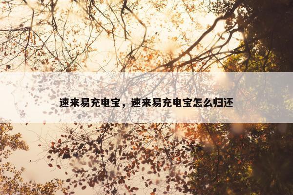 速来易充电宝，速来易充电宝怎么归还