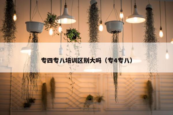 专四专八培训区别大吗（专4专八）
