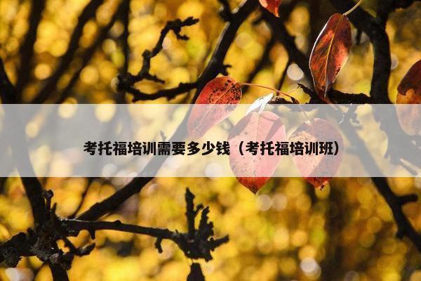 考托福培训需要多少钱（考托福培训班）