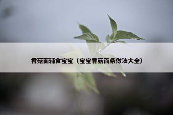香菇面辅食宝宝（宝宝香菇面条做法大全）