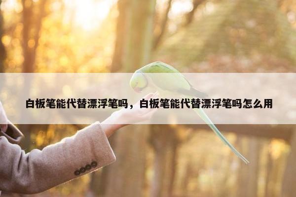 白板笔能代替漂浮笔吗，白板笔能代替漂浮笔吗怎么用