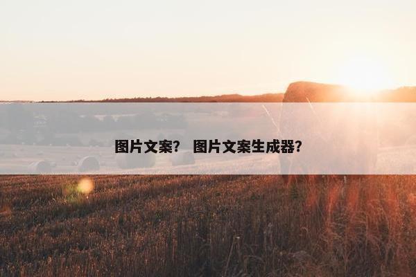 图片文案？ 图片文案生成器？
