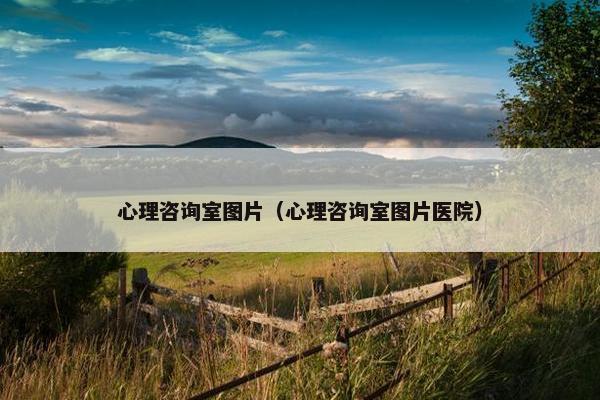 心理咨询室图片（心理咨询室图片医院）