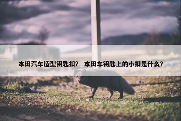 本田汽车造型钥匙扣？ 本田车钥匙上的小扣是什么？