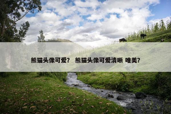熊猫头像可爱？ 熊猫头像可爱清晰 唯美？