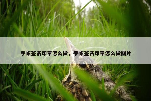 手帐签名印章怎么做，手帐签名印章怎么做图片