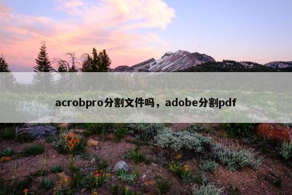 acrobpro分割文件吗，adobe分割pdf