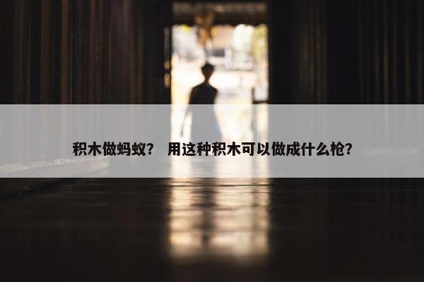 积木做蚂蚁？ 用这种积木可以做成什么枪？